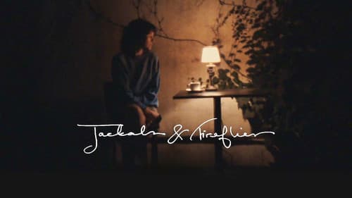 Jackals & Fireflies Bild 1