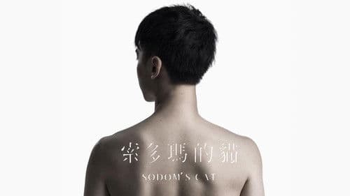 索多瑪的貓 Bild 4