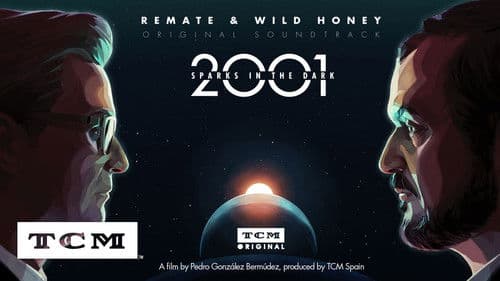 2001 : Destellos en la oscuridad Bild 1