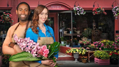 When Love Blooms Bild 2