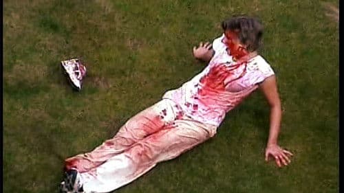 Socks from the Rocks Bild 1