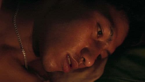 Century of Smoke Bild 2