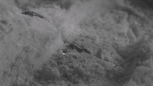 けんかえれじい Bild 7