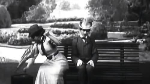 Die Folgen des Feminismus Bild 1