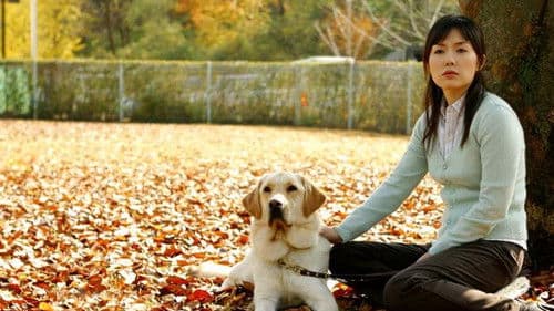 내사랑 토람이 Bild 1