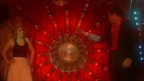 The Night Bird Bild 7