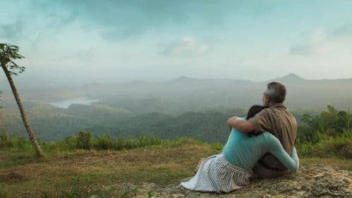 Habibie & Ainun 3 Bild 4