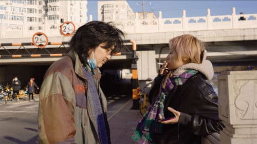 Film balkonowy Bild 2