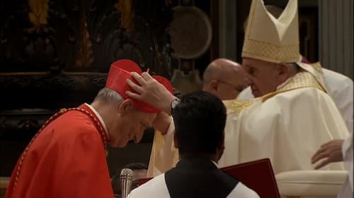 Il Vangelo secondo Matteo Z. Professione Vescovo Bild 1