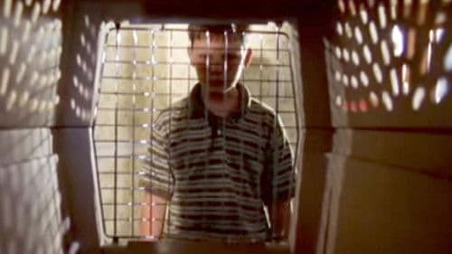 The Invisible Dog Bild 1