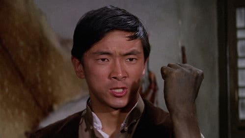 Eine Faust wie ein Hammer Bild 2