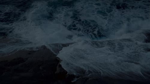 Leviathan Bild 5