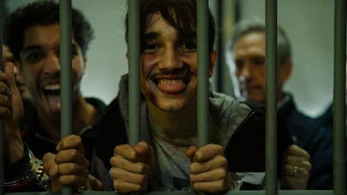 Nachtvlinders Bild 7