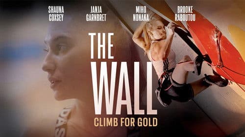 The Wall: Climb for Gold Bild 2
