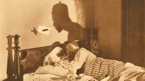 The Burden of Race Bild 3