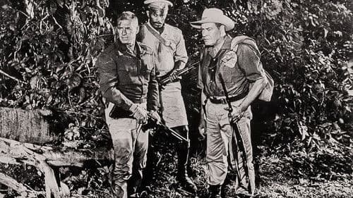 Tarzan und die Flusspiraten Bild 2