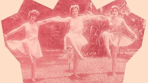 Sinfonia da Floresta Bild 1