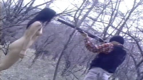 官能の森の美女 Bild 2