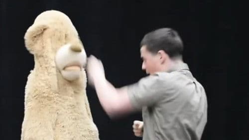 Eric Mitchell: The Harder You Fall Bild 1