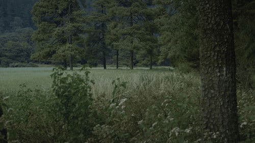 Para atrapar el viento Bild 1