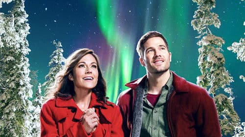 Hilfe, ich habe Weihnachten geerbt Bild 4