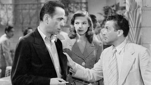 Haben und Nichthaben Bild 4