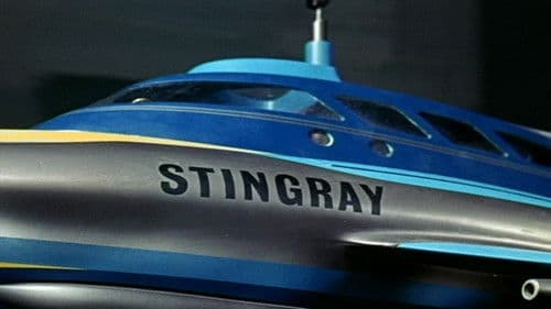 Stingray Bild 4