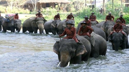 Sunny et l'éléphant Bild 1