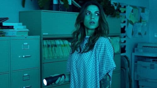 All Light Will End Bild 5