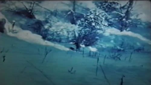 The Art of Vision Bild 5