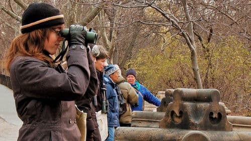 Birders: The Central Park Effect Bild 2