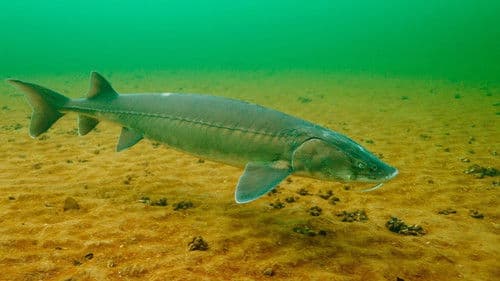 All Too Clear Bild 3