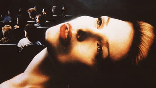 Midnight Matinee Bild 1