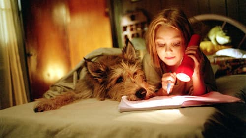 Winn-Dixie - Mein zotteliger Freund Bild 1