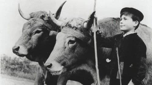 Farrebique ou les Quatre Saisons Bild 1