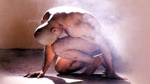 ஆளவந்தான் Bild 1