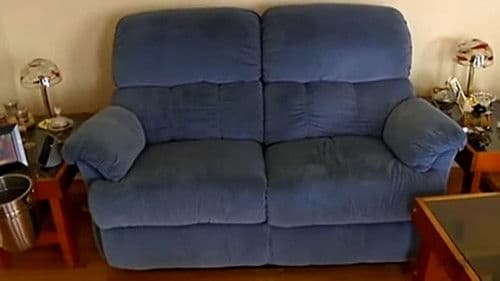 Dindon Sauvage (La dinde noire) Bild 1