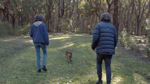 Drifting Billy Bild 3