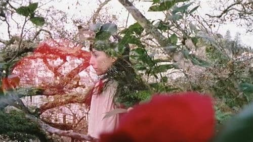 Combat d'amour en songe Bild 4