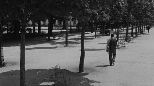 Im Zeichen des Löwen Bild 6