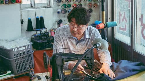 Broker - Familie gesucht Bild 3