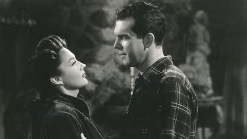 Captain Eddie Bild 1