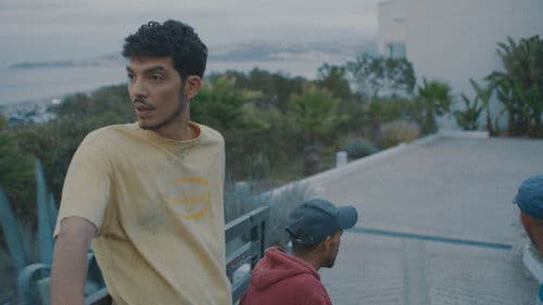 Derrière les palmiers Bild 4