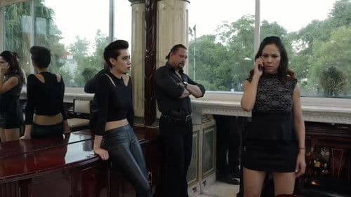 Perras de barrio 2 Bild 5