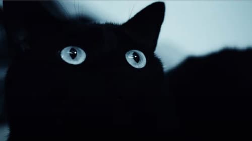 Alice was my name Bild 3