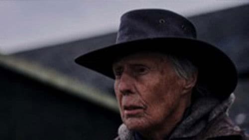 Wale vs. Wildnis Bild 2