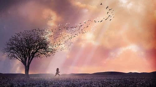 In meinem Himmel Bild 5