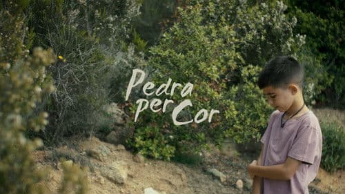 Pedra per Cor Bild 1