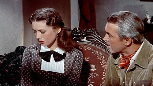 Der Mann aus Laramie Bild 8