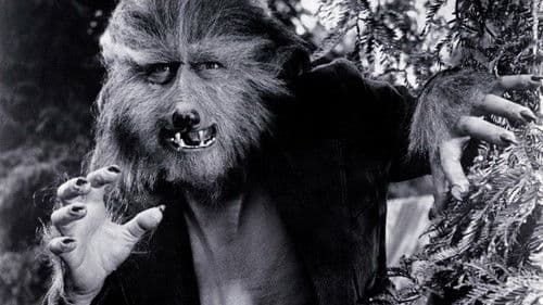 The Boy Who Cried Werewolf Bild 4